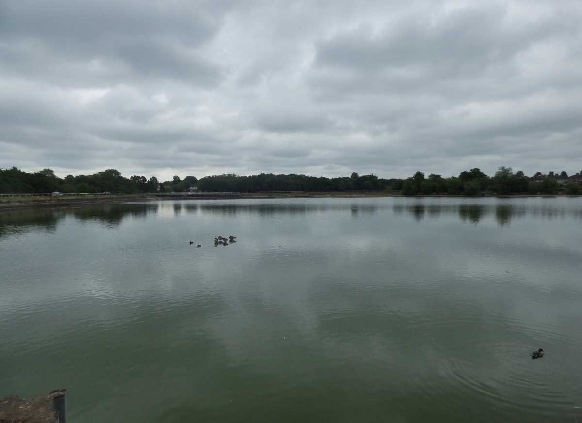 Engine Pool at Earlswood Lakes